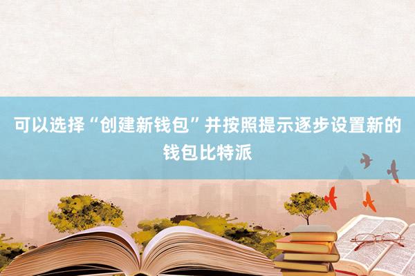 可以选择“创建新钱包”并按照提示逐步设置新的钱包比特派