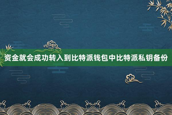 资金就会成功转入到比特派钱包中比特派私钥备份