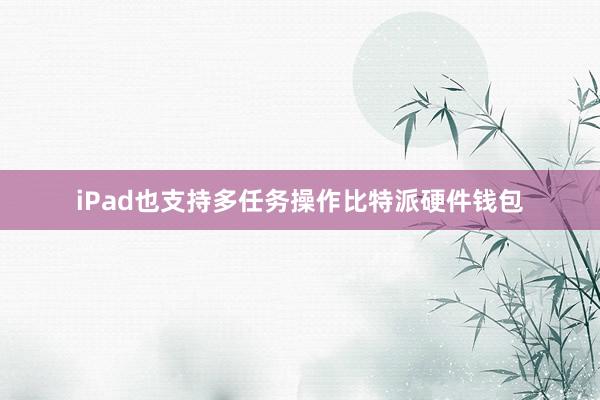 iPad也支持多任务操作比特派硬件钱包