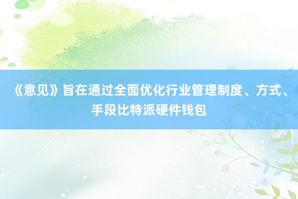 《意见》旨在通过全面优化行业管理制度、方式、手段比特派硬件钱包