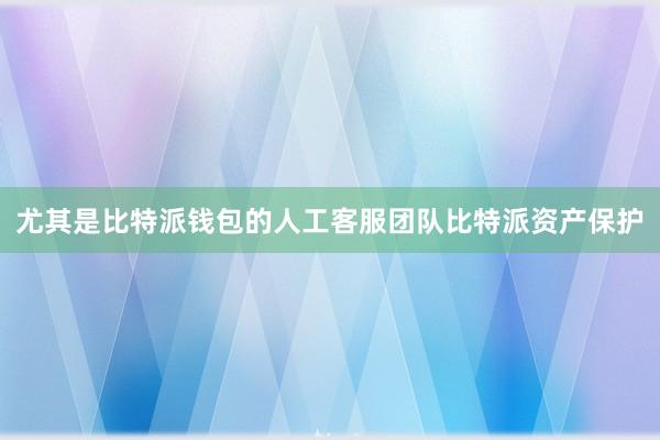 尤其是比特派钱包的人工客服团队比特派资产保护