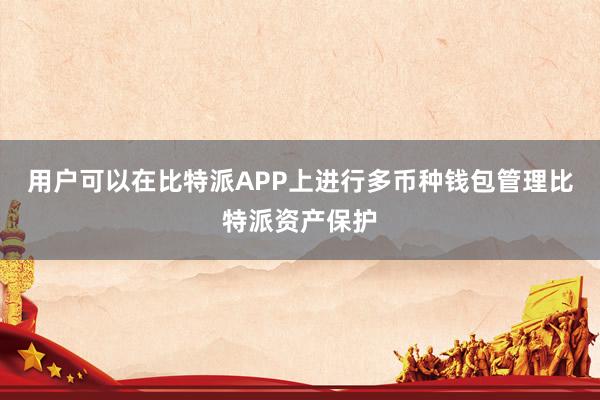 用户可以在比特派APP上进行多币种钱包管理比特派资产保护