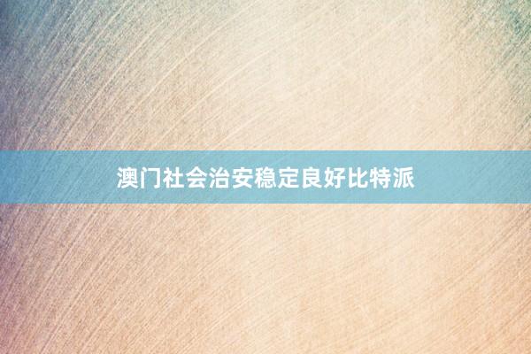 澳门社会治安稳定良好比特派