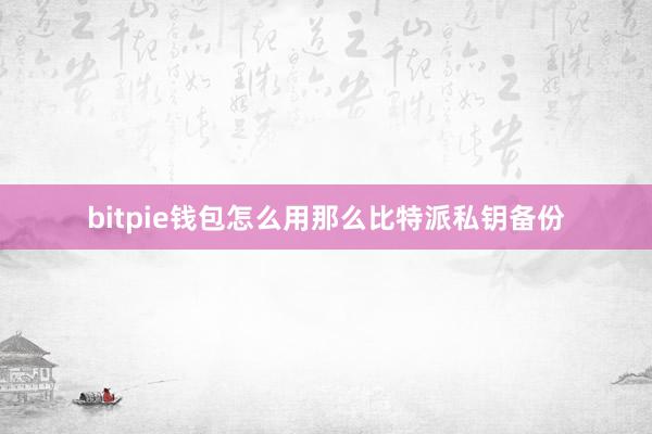 bitpie钱包怎么用那么比特派私钥备份