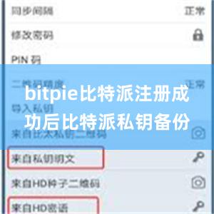 bitpie比特派注册成功后比特派私钥备份