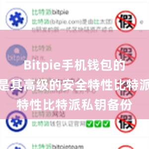 Bitpie手机钱包的优势之一是其高级的安全特性比特派私钥备份