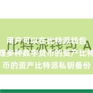 用户可以在比特派钱包中轻松管理多种数字货币的资产比特派私钥备份