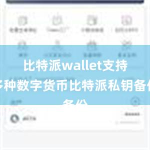 比特派wallet支持多种数字货币比特派私钥备份